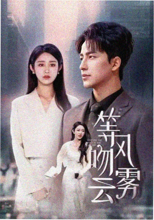 长街灯火 热播剧集在线